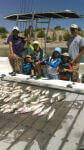 White Bass Fishing