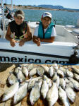 White Bass Fishing